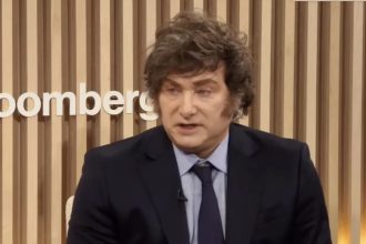 Javier Milei en el Foro de Davos: "Voy a sacar el cepo, soy libertario, no libertarado"