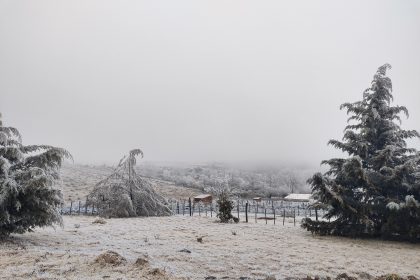 Nieve en tucumán